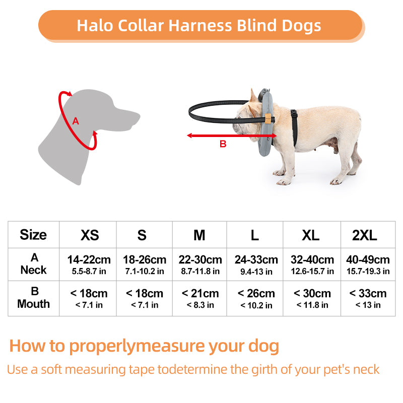 Pet Halo Collar Harness – Safe Navigation for Blind Dogs