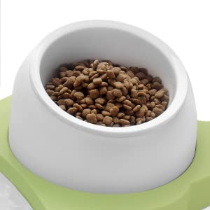 Premium Food Grade Bowl