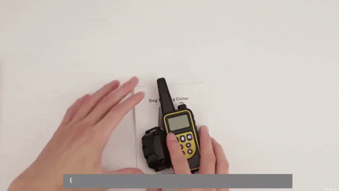 Dog Training Collar with Remote