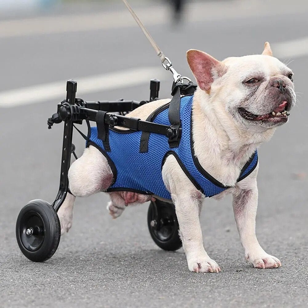 Rehab OS cHind Leg Mobility Assistance for Small and Middle dogs
