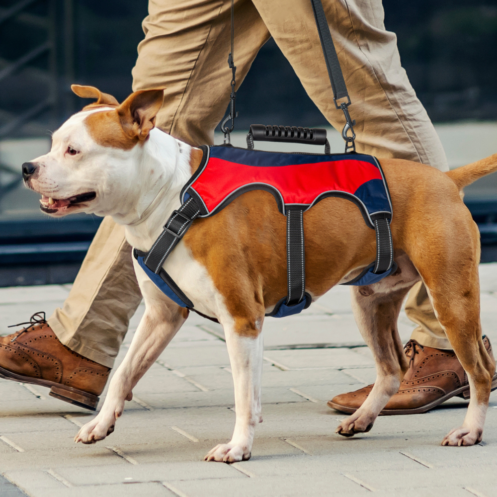 Dog Support Vest Harness