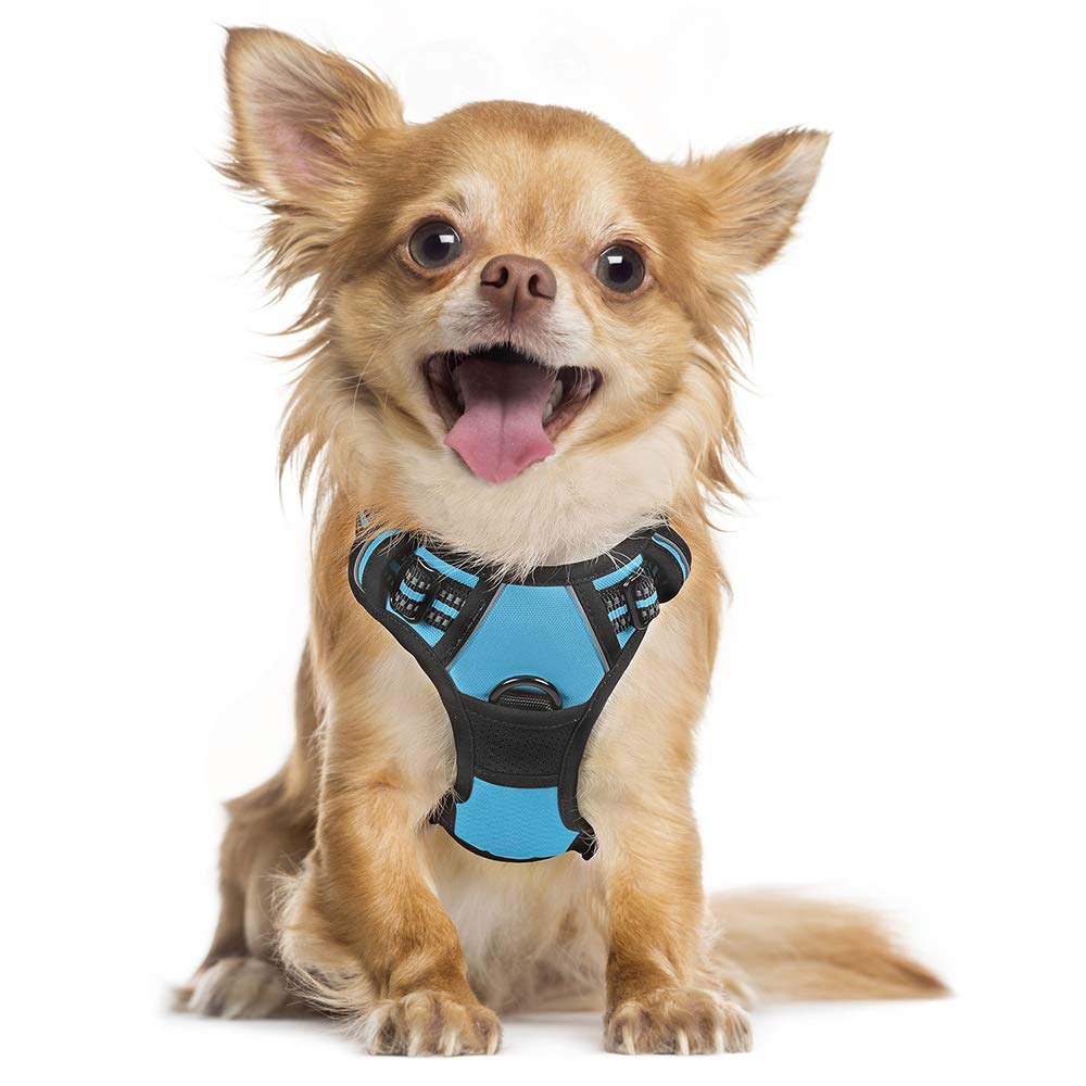 Dog Harness, No-Pull Pet Harness with 2 Leash Clips, Adjustable Soft P