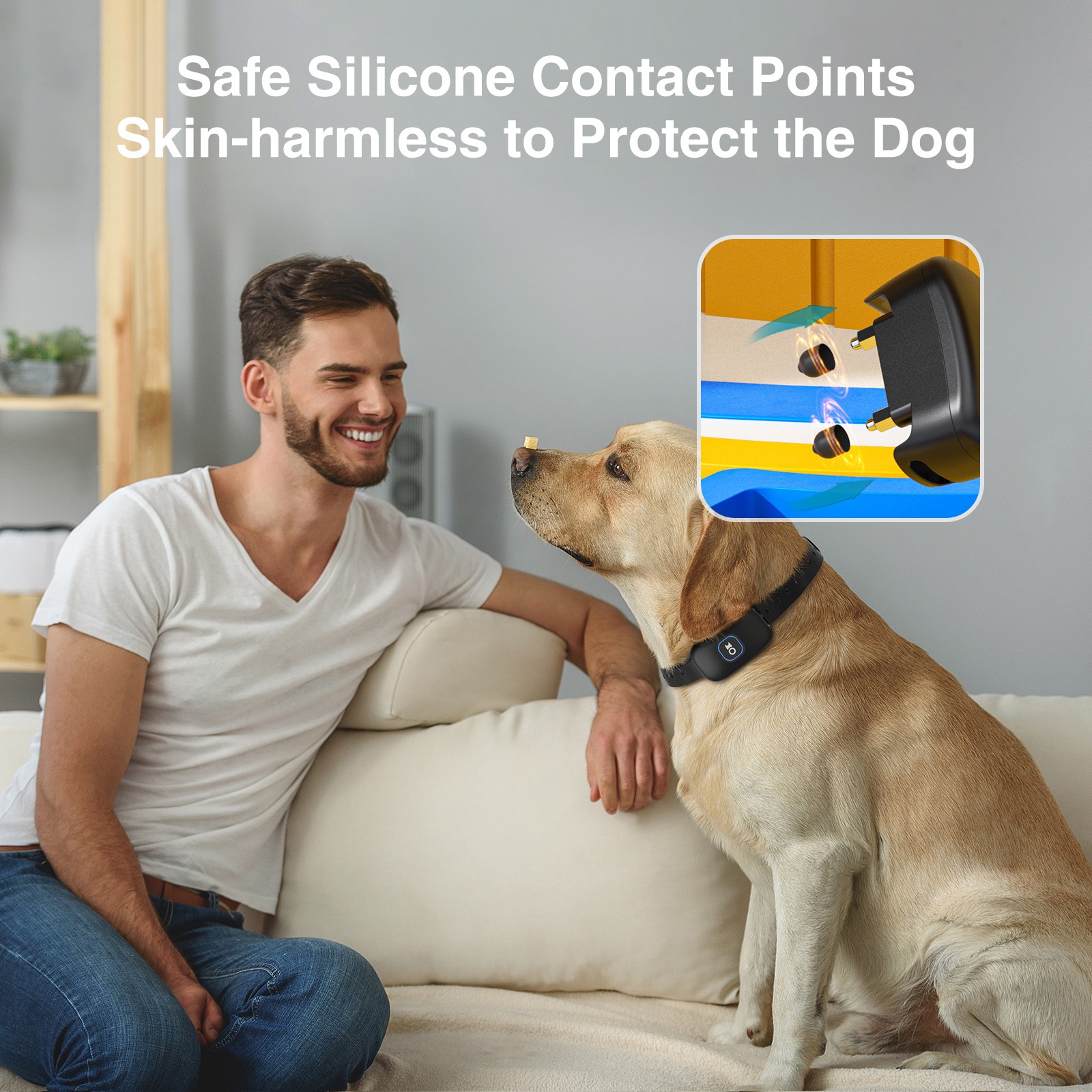 2-In-1 Wireless Dog Fence