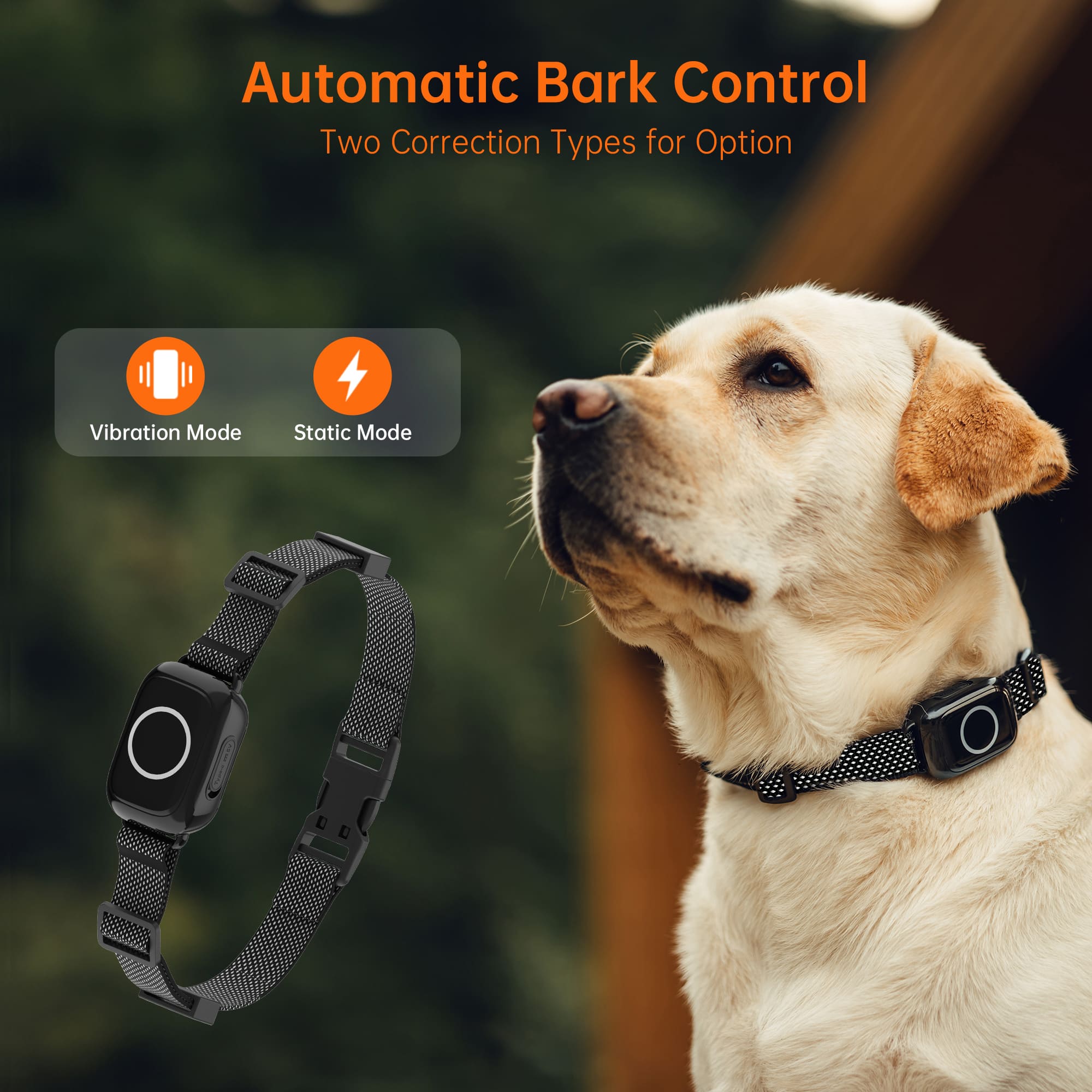 4-in-1 Remote Dog Training Collar T800Plus