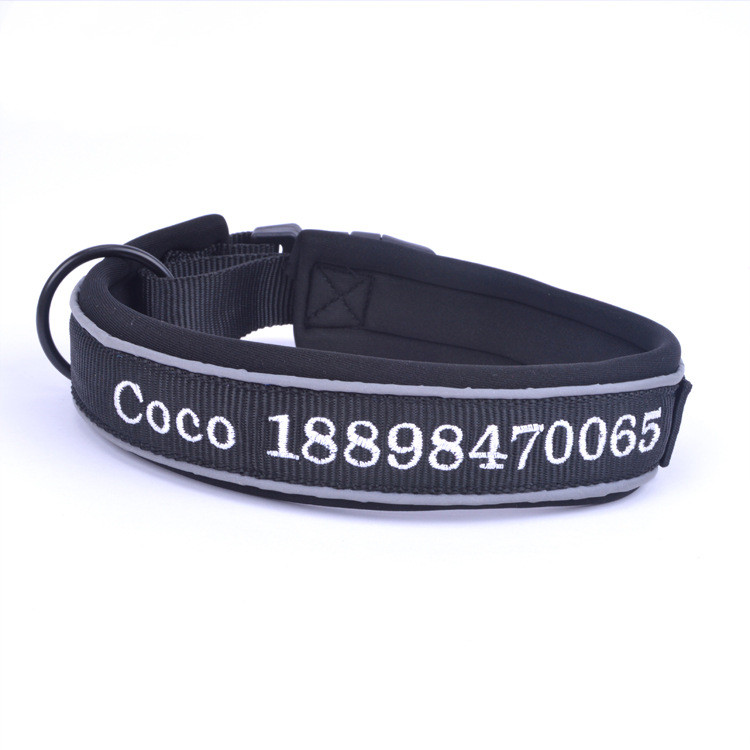 Extreme Personalized Dog Collar With Name