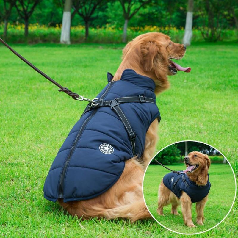 Waterproof Dog Winter Jacket With Harness