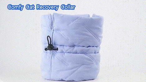 high-quality cat cone collar details