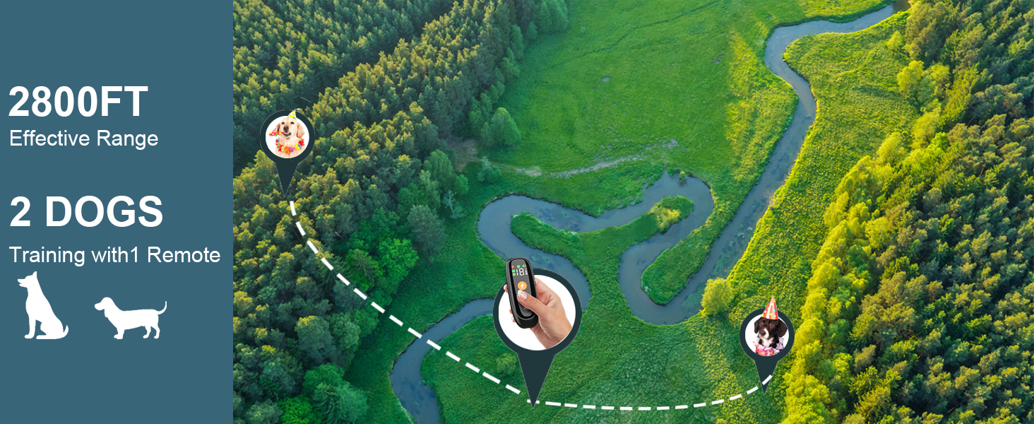 2 dogs training 2pack 2set