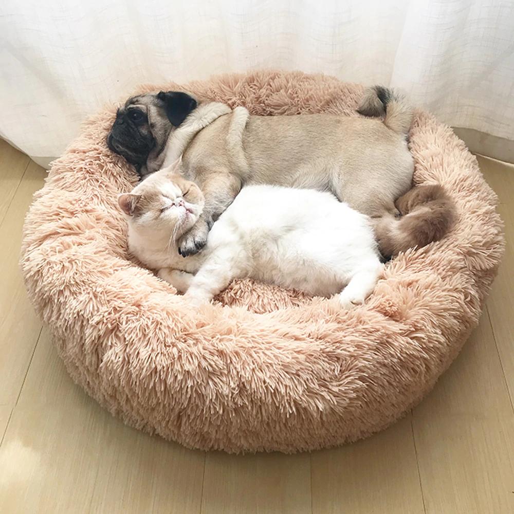 Orthopedic Cat Bed - The Anti-Anxiety Calming Bed for Cats