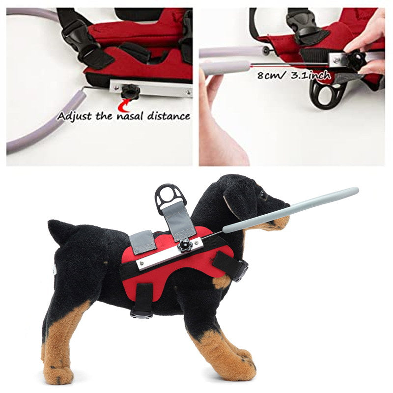 Adjustable Blind Dog Halo, Pets Protective Vest Ring