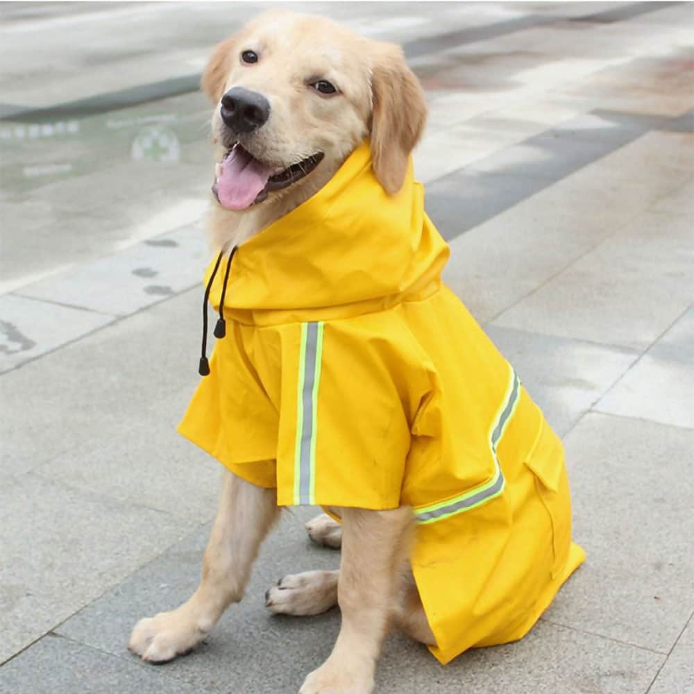 Dog Raincoat With Leash/Harness Port
