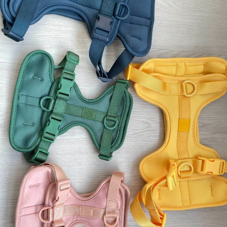 Dog Harness| Harness and Leash Walk Kit