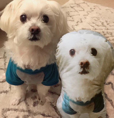 Custom Dog Pillow, Custom Pet Pillow Personalized Pet Body Pillows