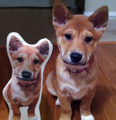 Custom Dog Pillow, Custom Pet Pillow Personalized Pet Body Pillows