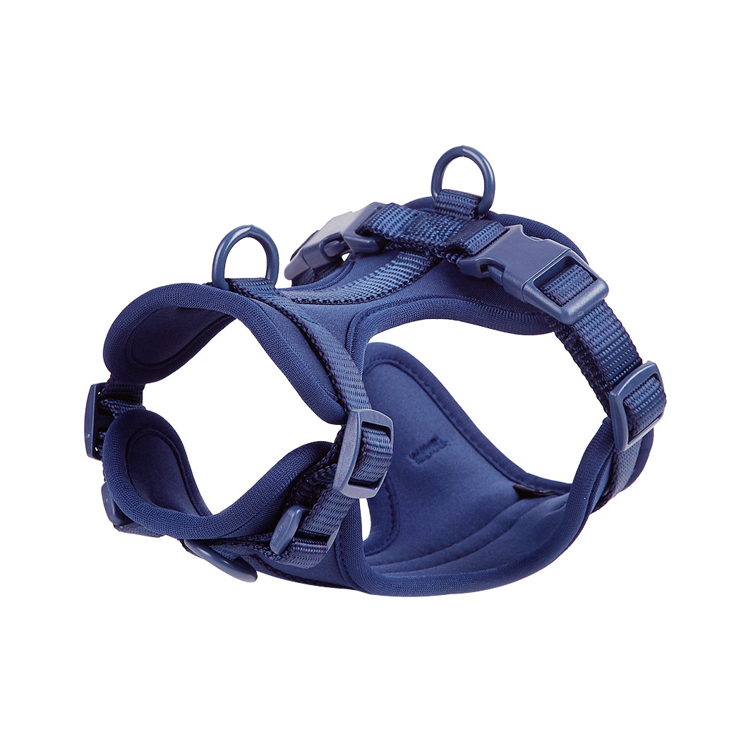 Dog Harness| Harness and Leash Walk Kit