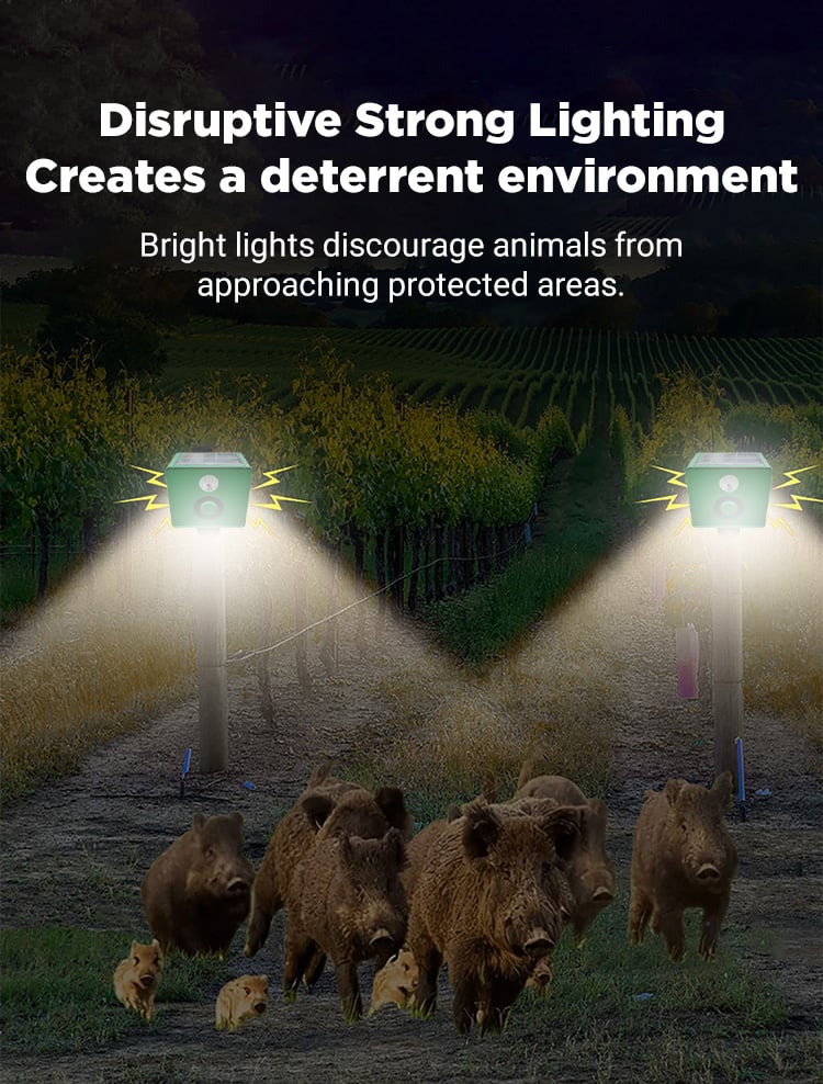 Beast Repellent Solar Warning Lights with Loud Volume