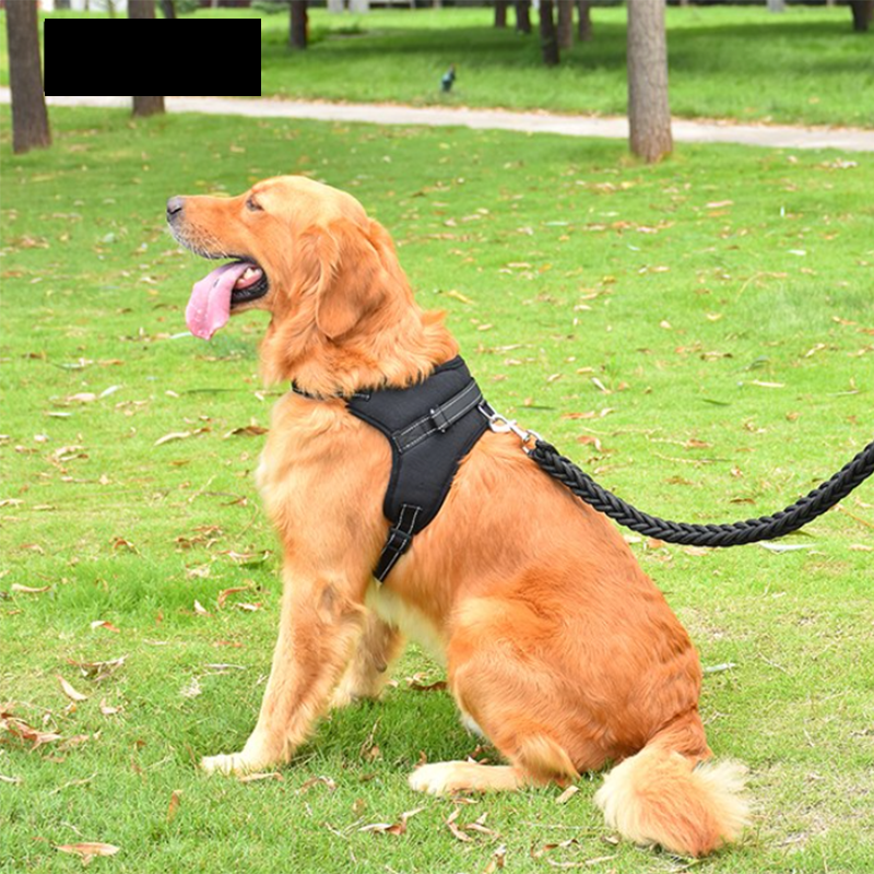 Reflective & Adjustable Dog Harness For Small & Big Dogs