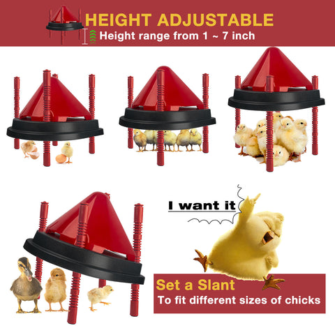 chick heating plate