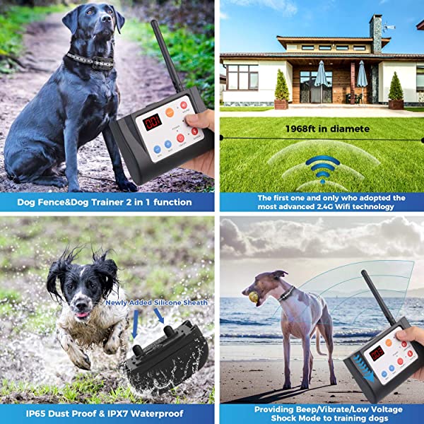 2-in-1 Wireless Dog Fence & Outdoor Training Collar
