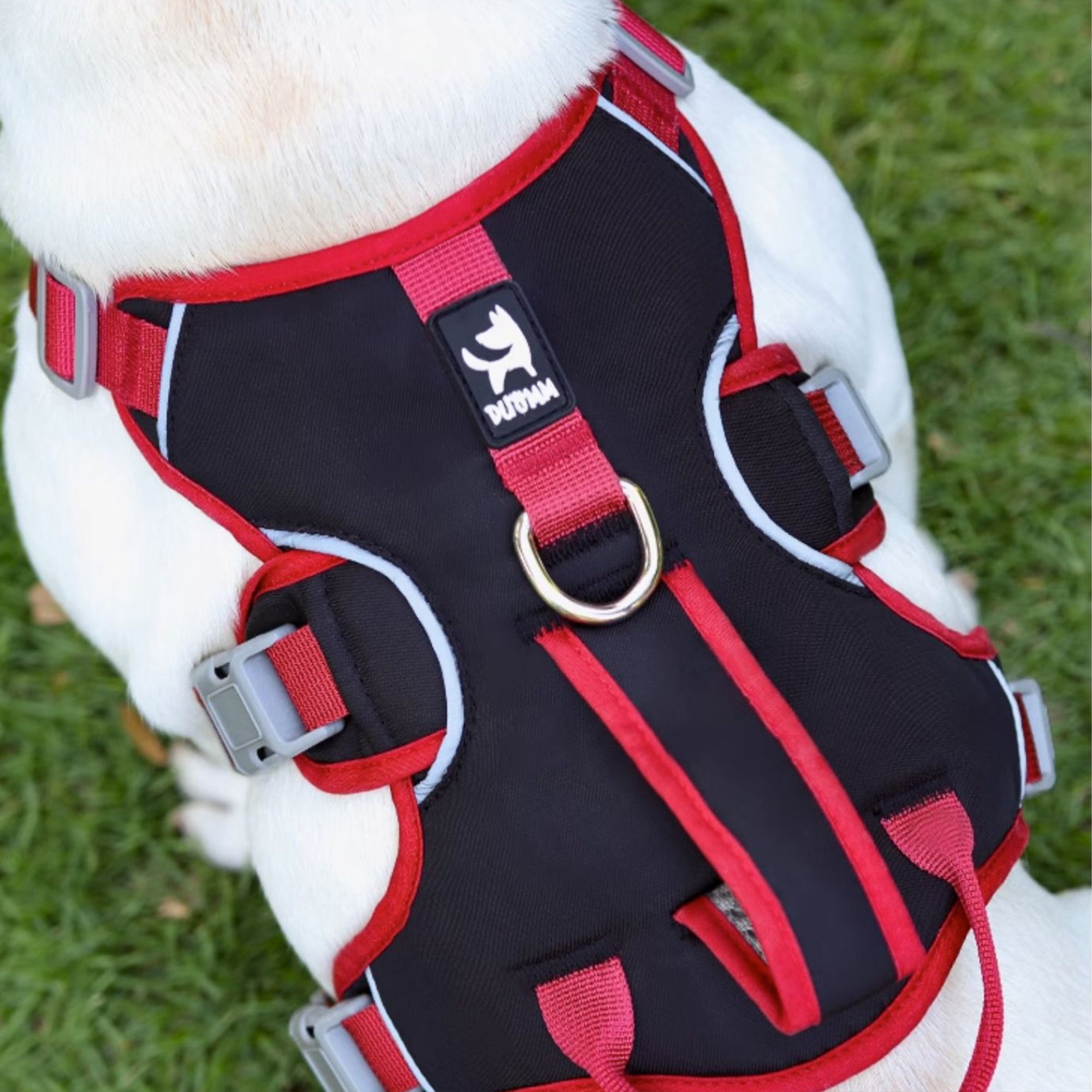 Anti-Escape Three-Piece Dog Chest and Back Harness