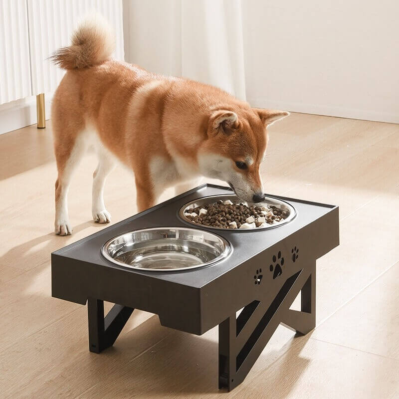 Elevated Bowls for Dogs - Adjustable Raised Bowl Dog Feeder