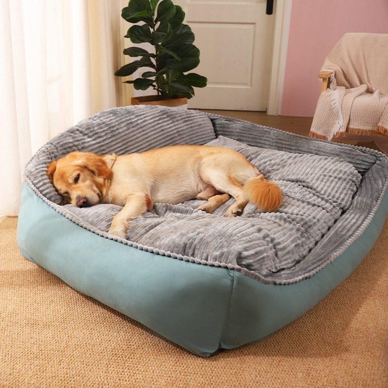 Orthopedic Dog Beds for Large Dogs, Dog Bed with Removable Washable Cover