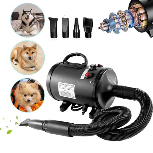 High Power Dryer - 2025 Best Wet Dry Vacuum For Pet Hair