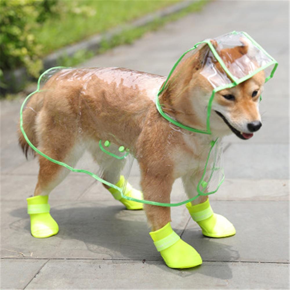Transparent Dog Raincoat