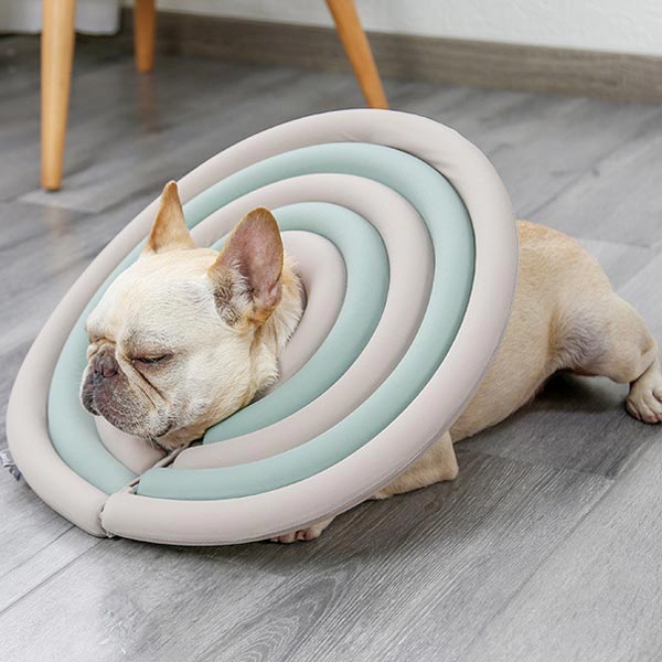 Dog & Cat Elizabethan Surgery Recovery Collar