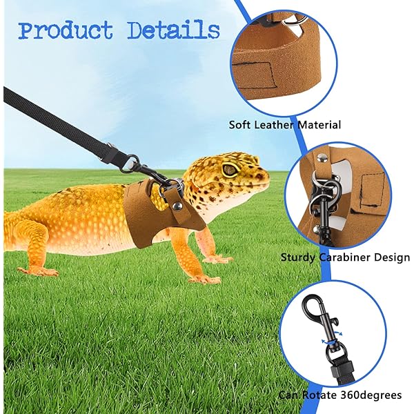 3 Pack Bearded Dragon Harness and Leash Set