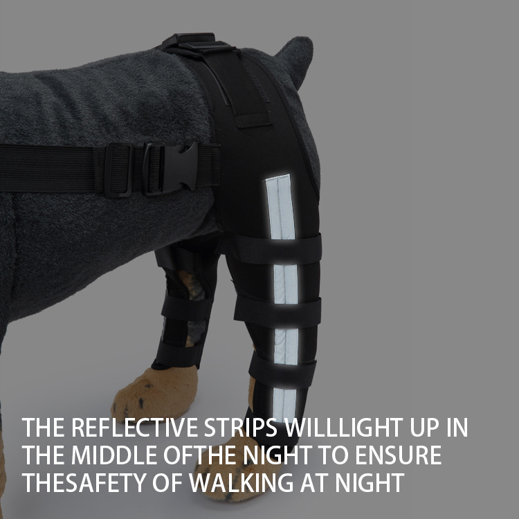 Double Dog Hip Support For Hip Dysplasia For Back Leg Dog Brace With Safety Reflective Straps