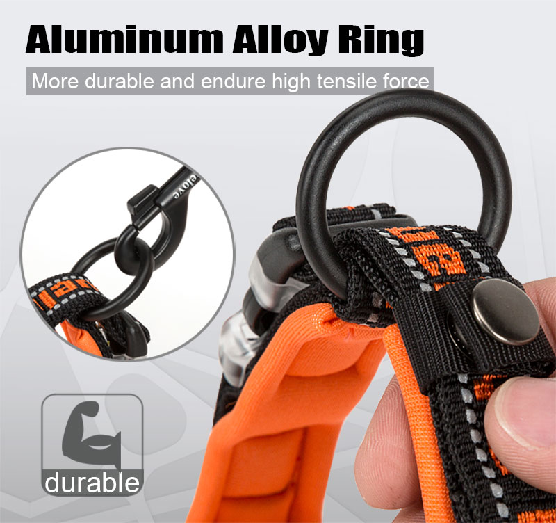 Truelove embroider neoprene pet dog collar nylon adjustable dog collars for big small dogs running reflective chihuahua bitpulls (5)