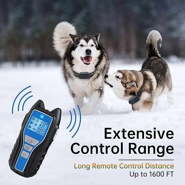 Dog Shock Collar，Waterproof Rechargeable Electric Dog Training Collar with Remote