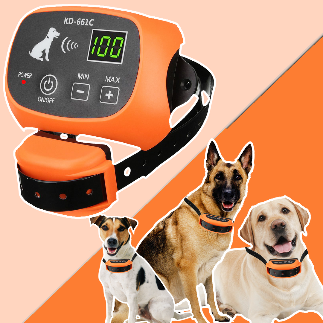 Pet Safe Wireless Electric Dog Fence - Wireless Dog Fence With Shock Collar