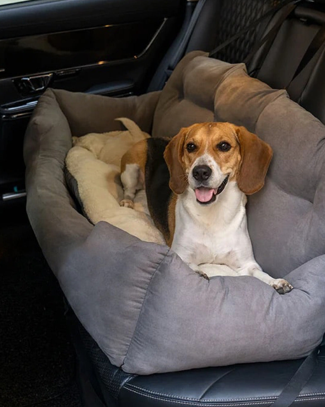 Travel Bolster Safety Medium Large Dog Car Back Seat Bed, Waterproof P