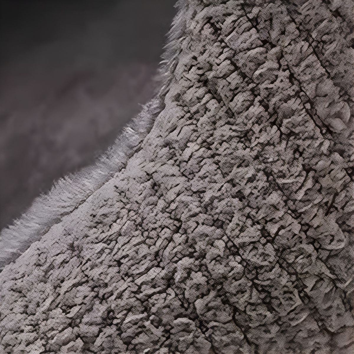 Warm Flannel Detachable Semi-Enclosed Large Dog Tent Bed