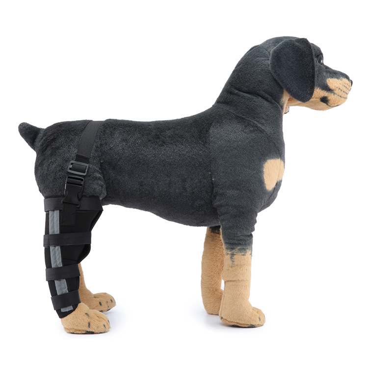 Hinged Dog Leg Brace