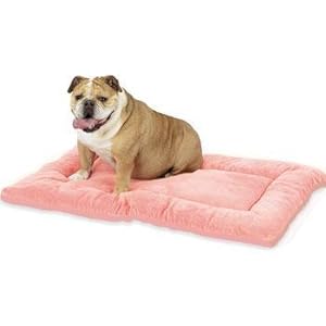 largest easy wash house cama perro bes mediano sherpa green dogbed couch stuff mattress floors