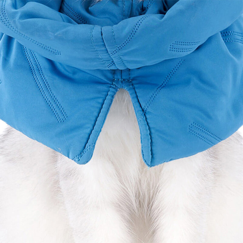 Adjustable Cat Cone Collar, Soft Elizabethan E Collar for Cats after Surgery