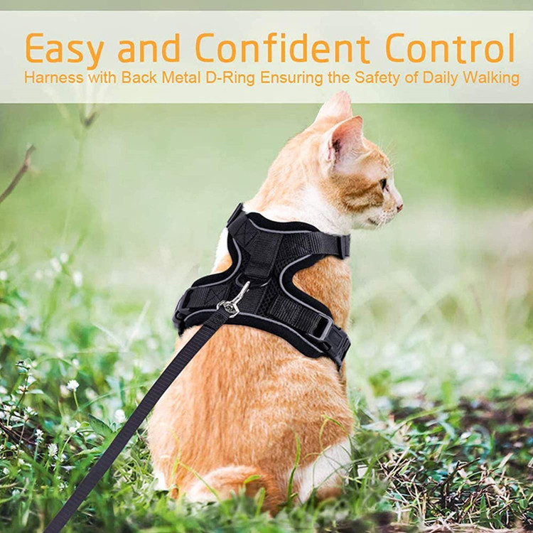 Cat Harness and Leash Set for Walking Cat and Small Dog Harness