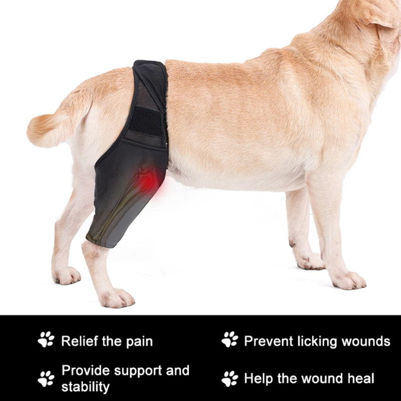 Dog Knee Brace Support For Torn Acl