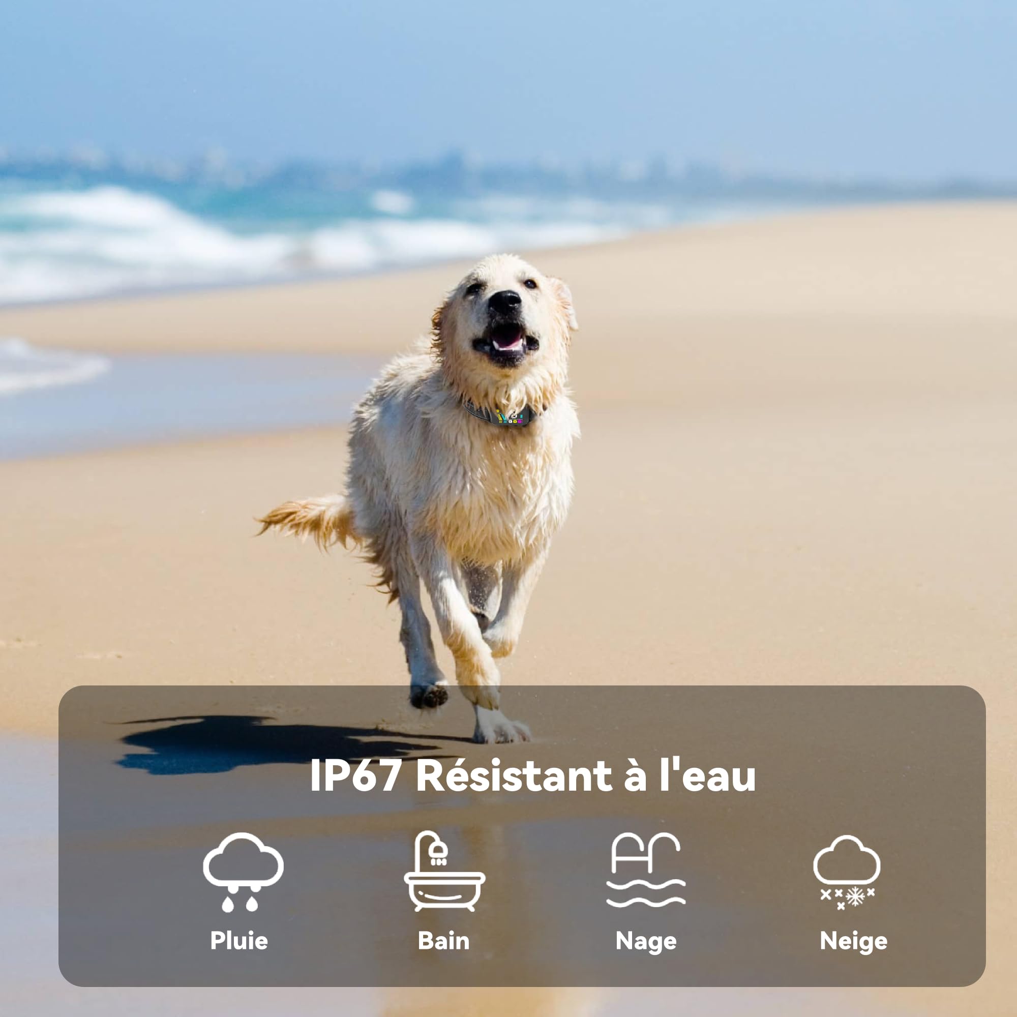 Rechargeable Anti Barking Dog Collar，Smart Collar with Bark Frequency Detection, 3 Sound Modes, Vibration/Static Shock, Suitable for All Dogs, IP67 Waterproof Colour Screen