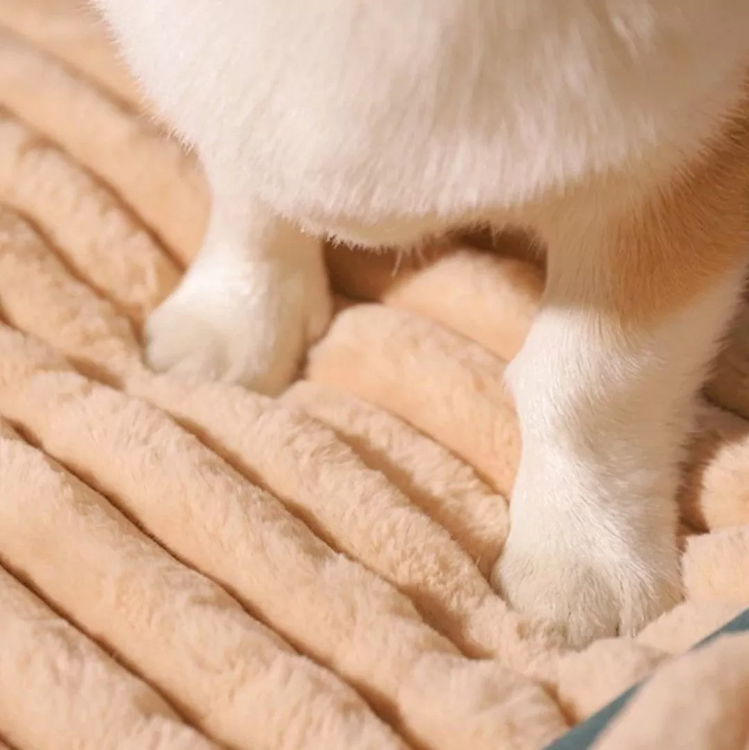 Smart Dog Bed (With Head Pillow)