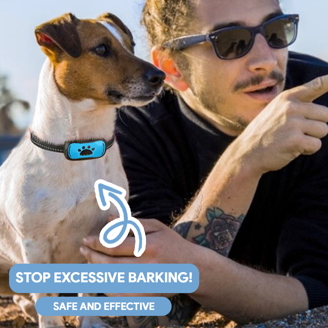 Anti-Bark Dog Collar，How To Stop Dog From Barking, Humane Rechargeable Anti-Bark Collar
