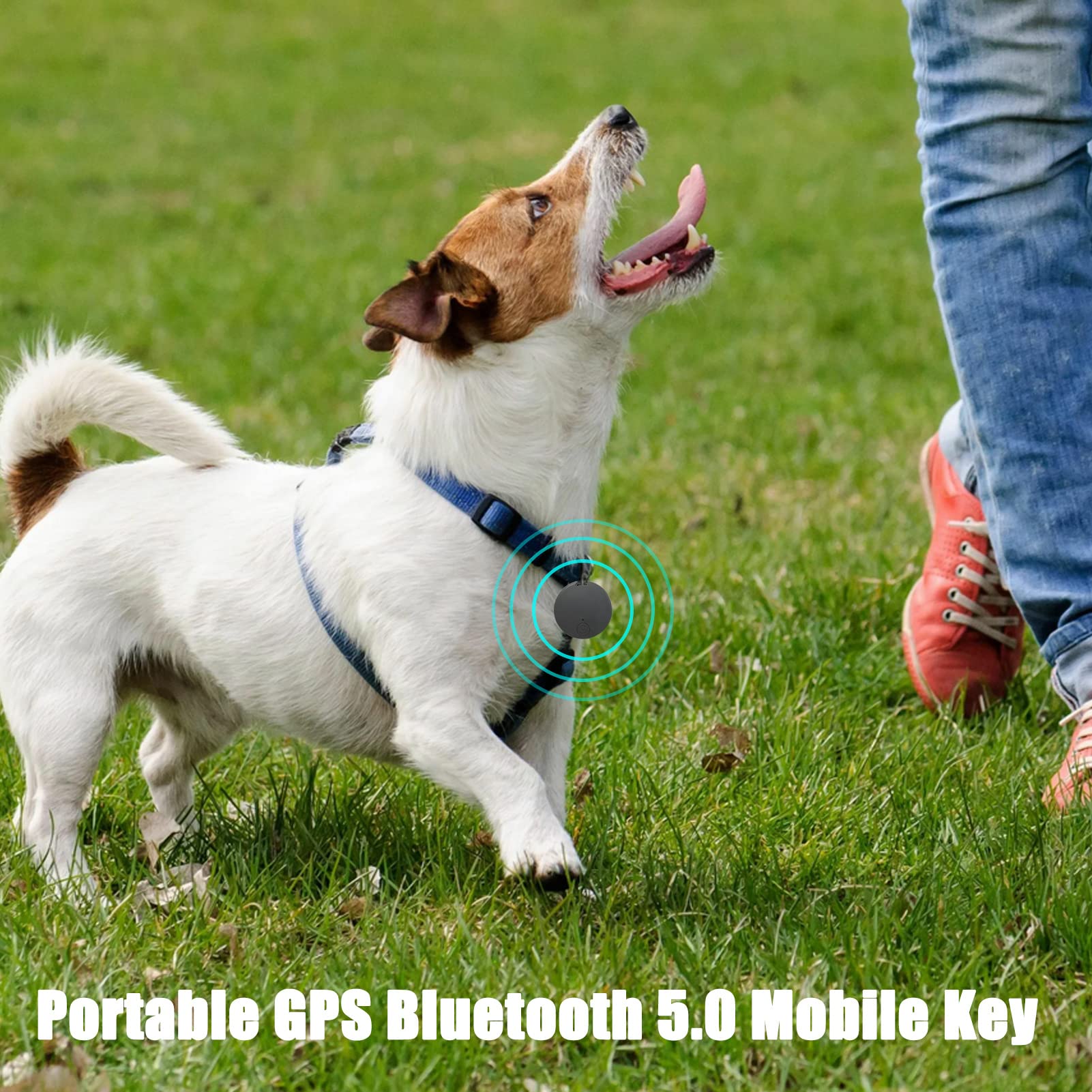 Smart Pet GPS, Mini GPS Tracking Device | Wireless Tracking Tag to Locate Lost Items
