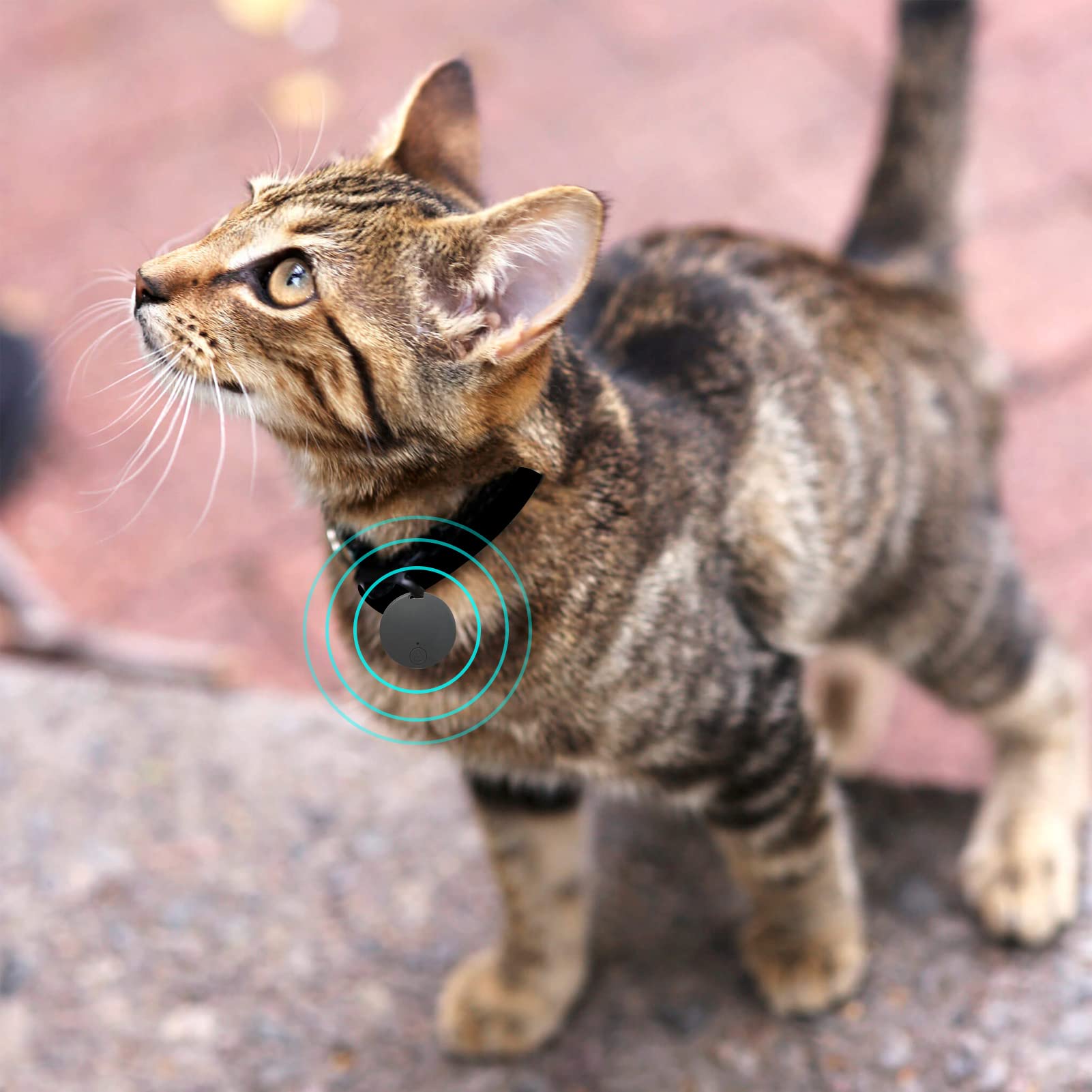 Smart Pet GPS, Mini GPS Tracking Device | Wireless Tracking Tag to Locate Lost Items