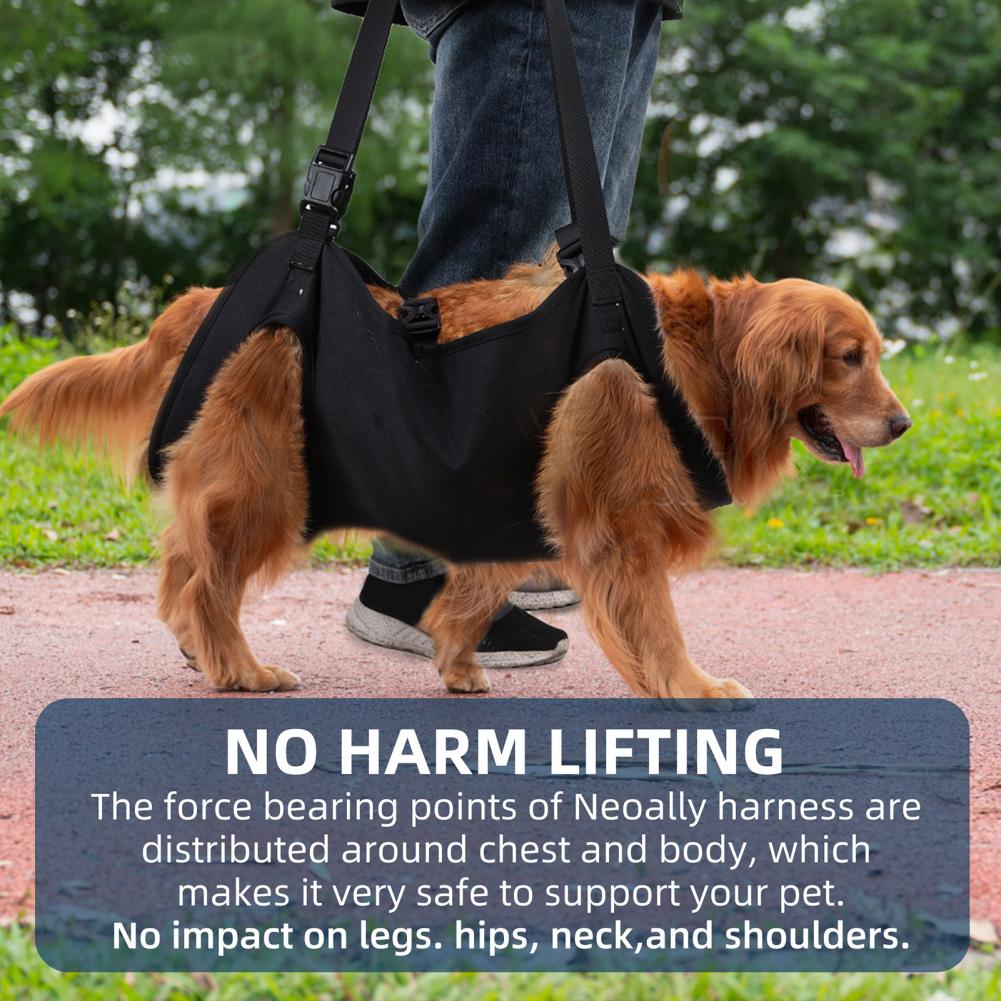 Dog Lift Harness For Large Dogs Sling Dog Walking Assistance Adjustable Pet Support Harness