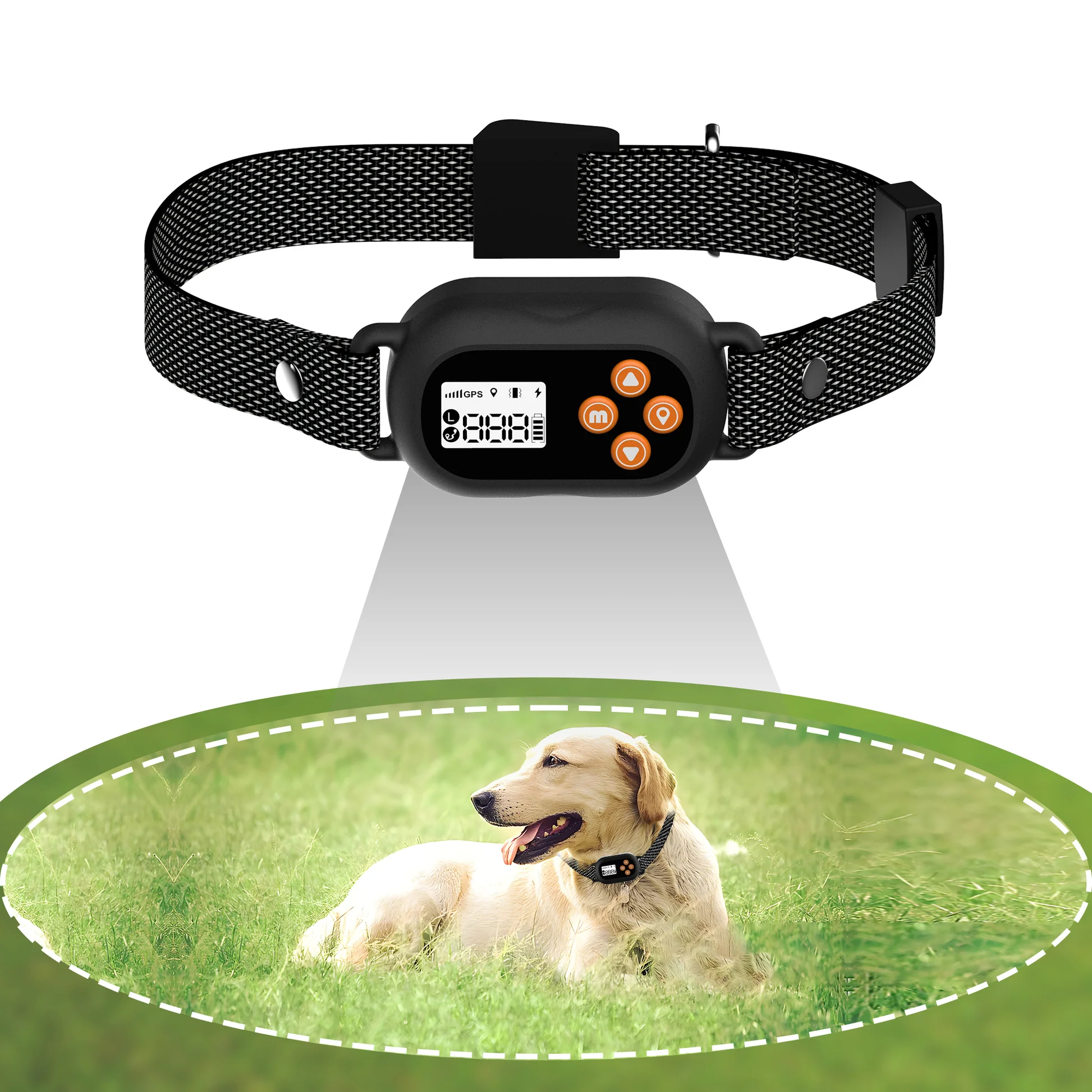 F820 GPS Wireless Fence Collar - 2026 Best Collar