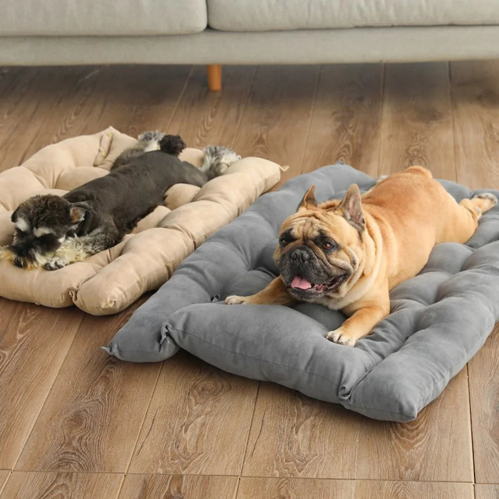 Cozy 3-in-1 Pet Bed