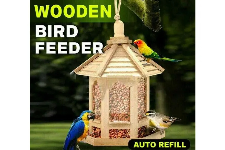 Hanging Wild Bird Feeder Garden Seed Container Waterproof Gazebo Shape Outdoor